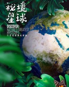 电视剧《亲爱的小孩》里一诺为救女儿和肖路复婚，董帆会同意和肖路离婚吗？