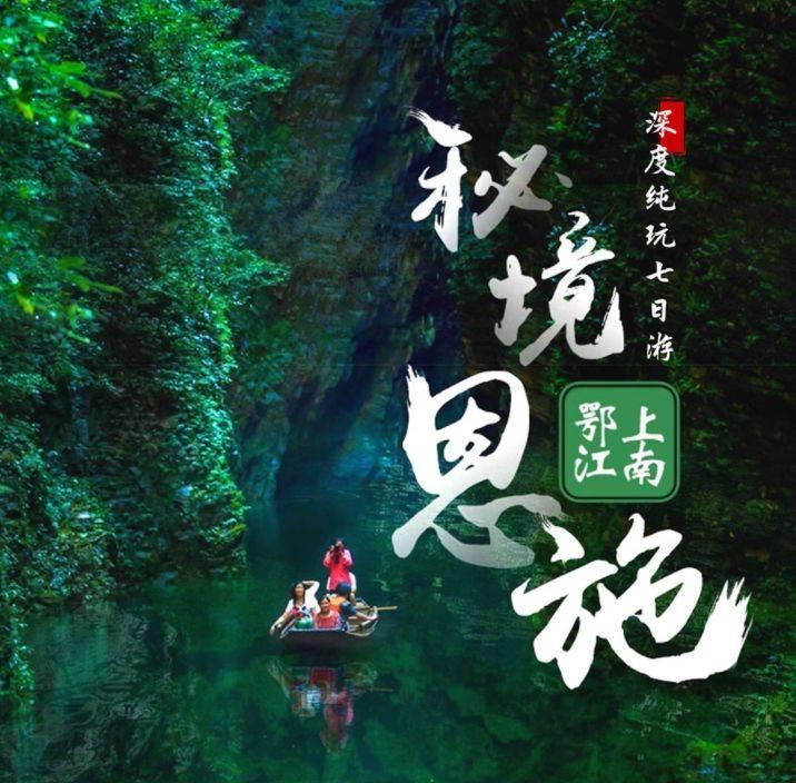 茶花叶子花骨朵掉不停,教你4招,花瓣厚实,叶子嫩绿惹人爱!