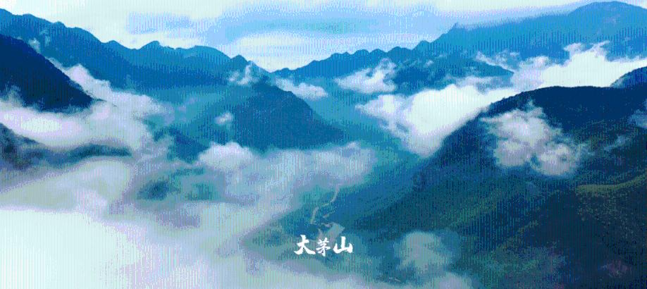 智慧问答网页 - 探索你的问题 - 老百姓买什么保险最合适?