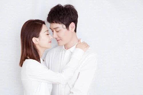 小狗救援行动选关版