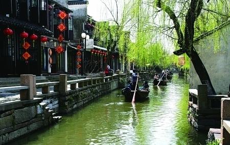 白孔雀救援